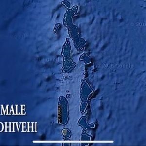 Meet your Posher, Lee